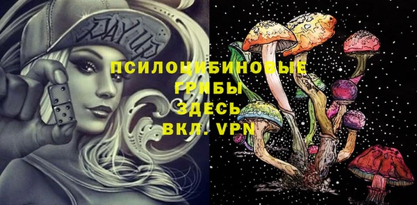 ГАЛЛЮЦИНОГЕННЫЕ ГРИБЫ Медвежьегорск