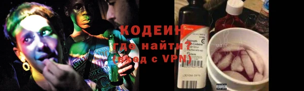 ГАЛЛЮЦИНОГЕННЫЕ ГРИБЫ Медвежьегорск