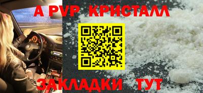 спайс Гагарин