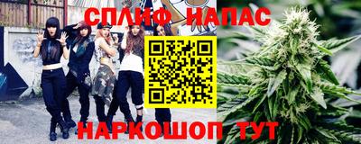 гашик Гай