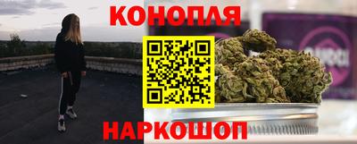 гашик Гай
