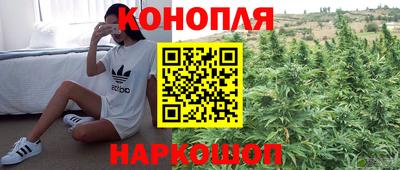 гашик Гай