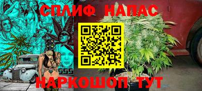 спайс Гагарин