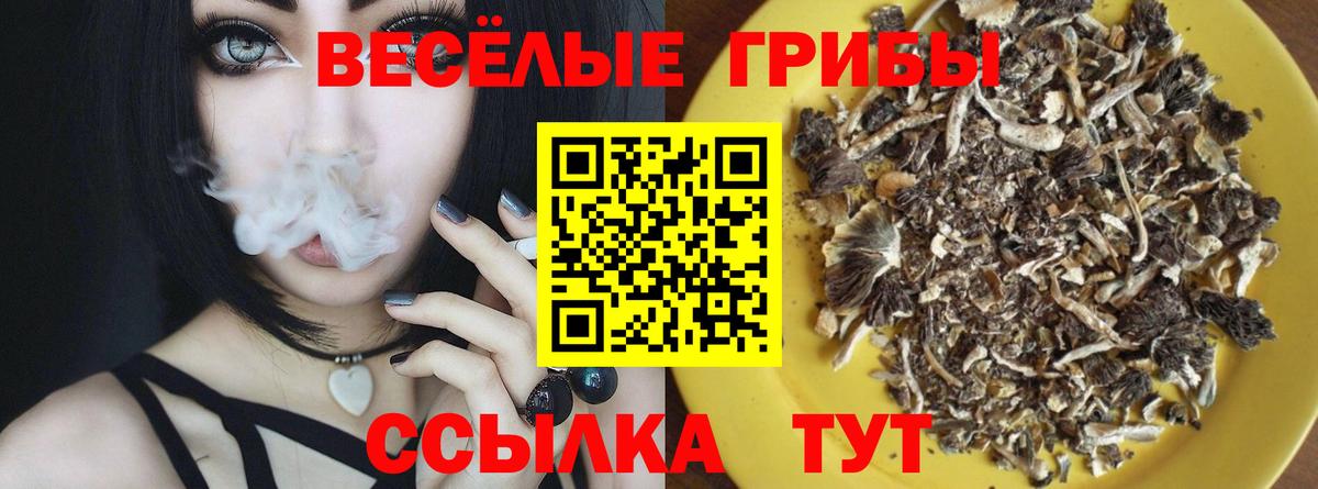Галлюциногенные грибы мицелий Серпухов